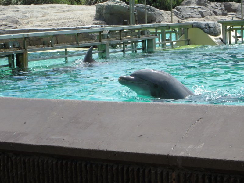 seaworldimg_9475.jpg