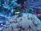 seaworldimg_9523_small.jpg