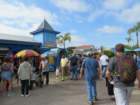 seaworldimg_9542_small.jpg