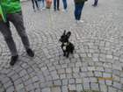 pragueimg_4950_small.jpg