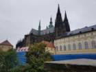 pragues8819_small.jpg