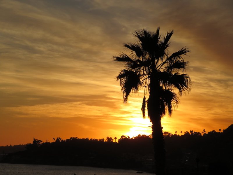 malibuimg_5281.jpg