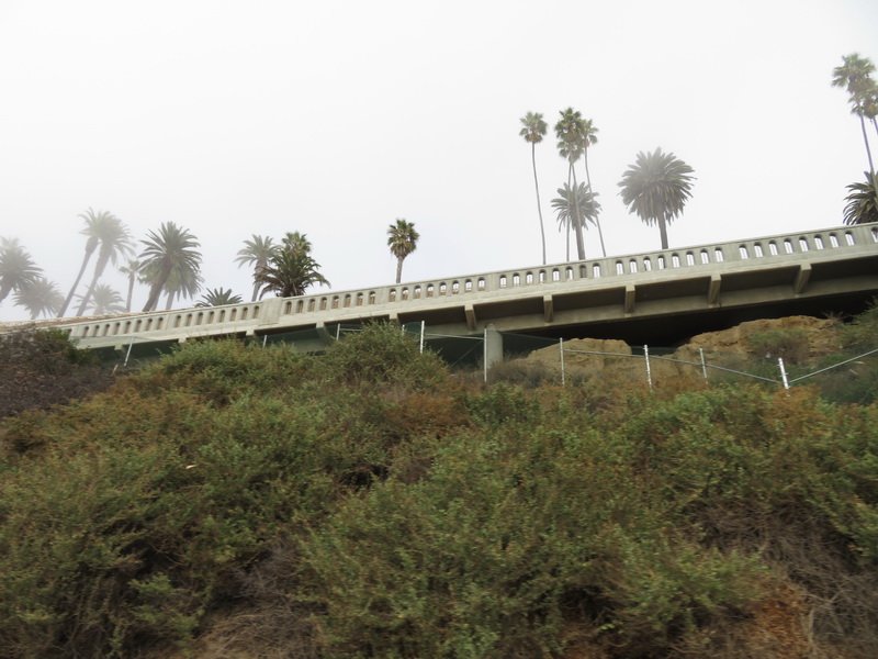 malibuimg_5468.jpg
