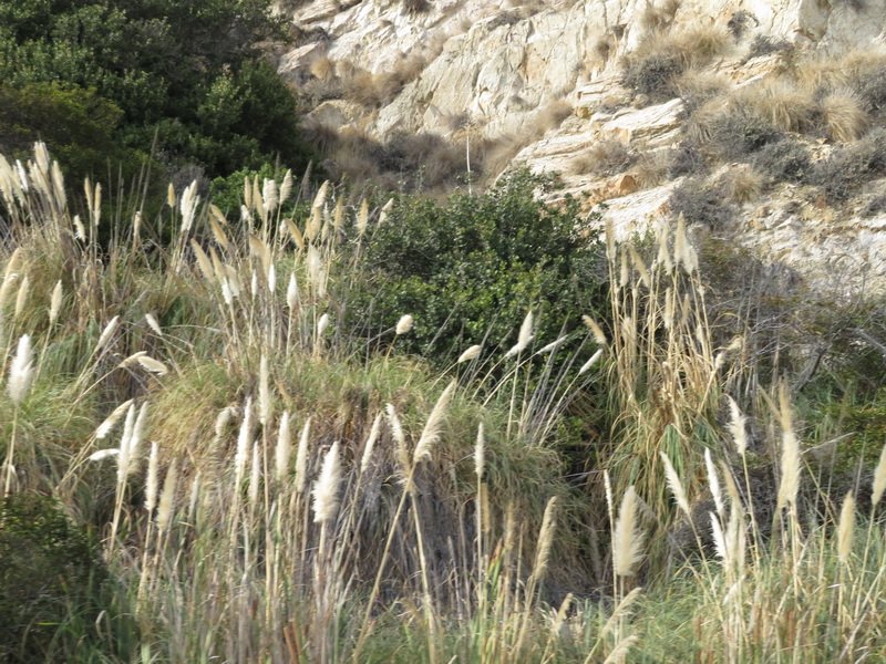 malibuimg_5488.jpg