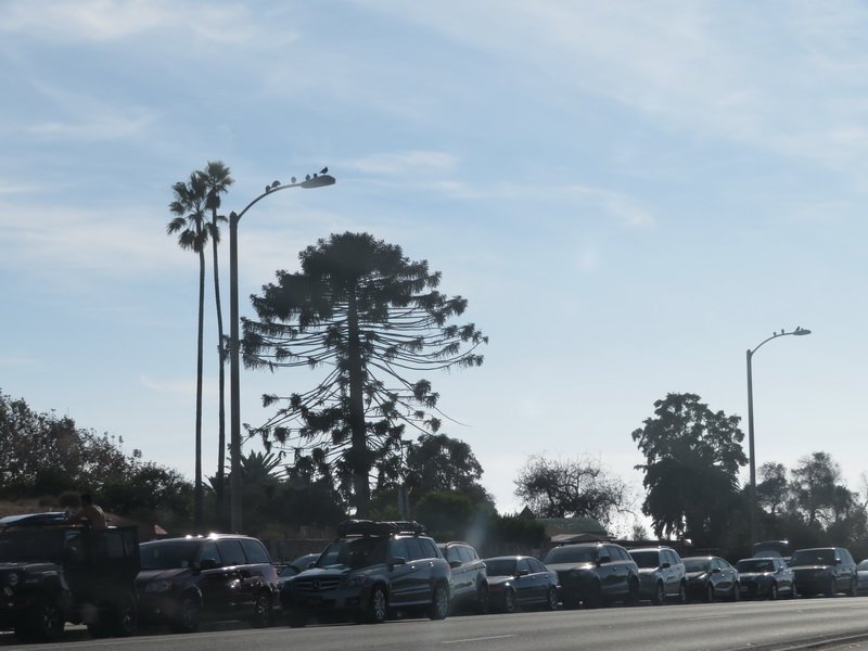 malibuimg_5503.jpg