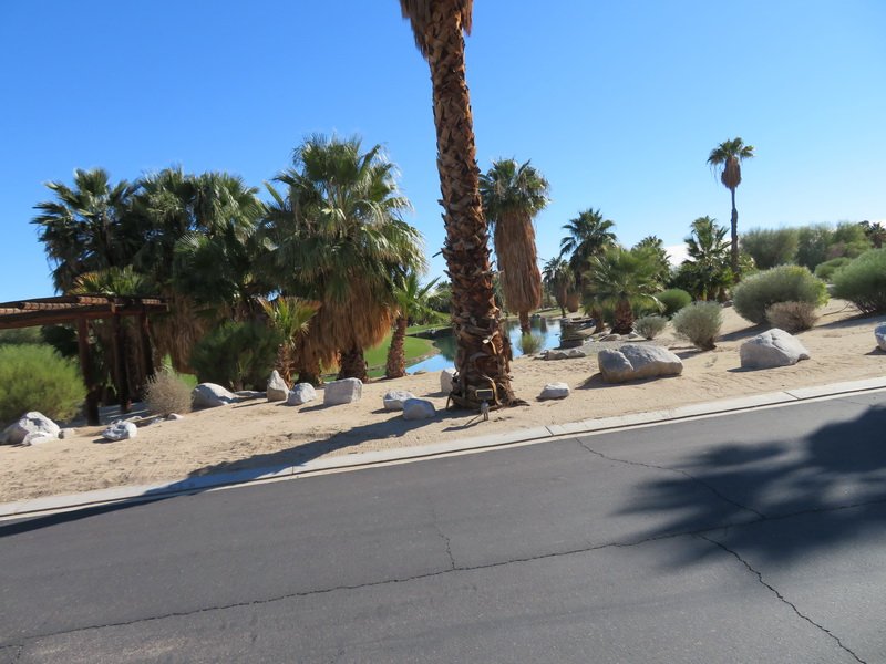 borregoimg_5615.jpg