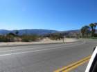 borregoimg_5616_small.jpg