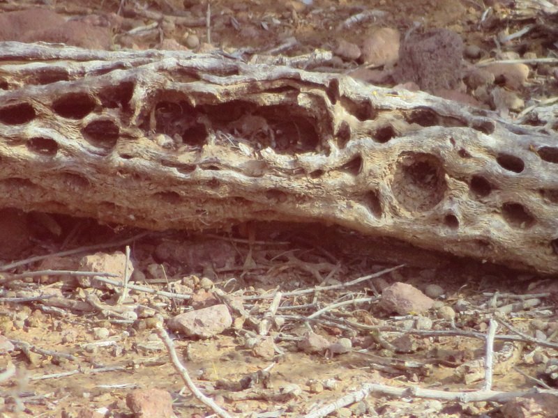 artimg_5844.jpg