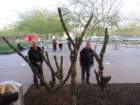 artimg_5991_small.jpg