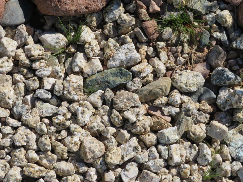 artimg_6010.jpg