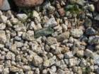artimg_6010_small.jpg