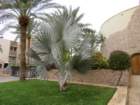 aqabaimg_6672_small.jpg
