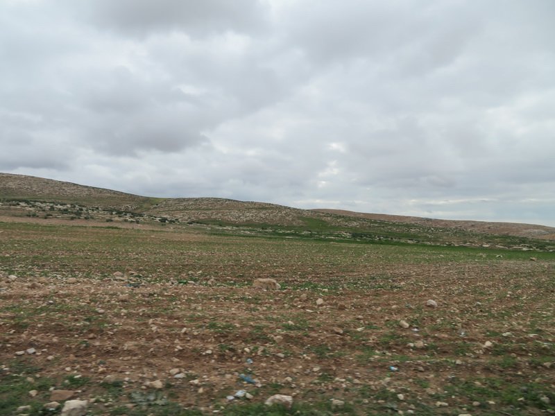 dseaneboimg_7879.jpg