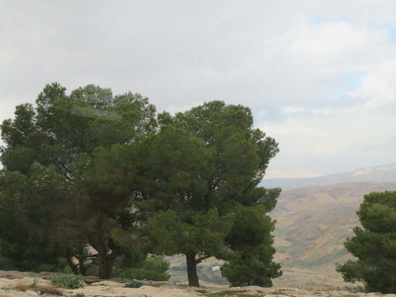 dseaneboimg_7910.jpg