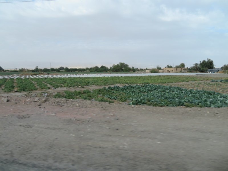 petraimg_7236.jpg