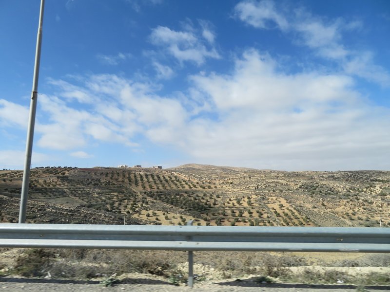 petraimg_7292.jpg