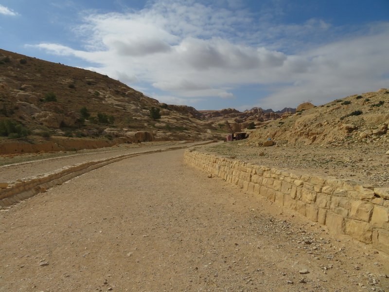 petraimg_7405.jpg