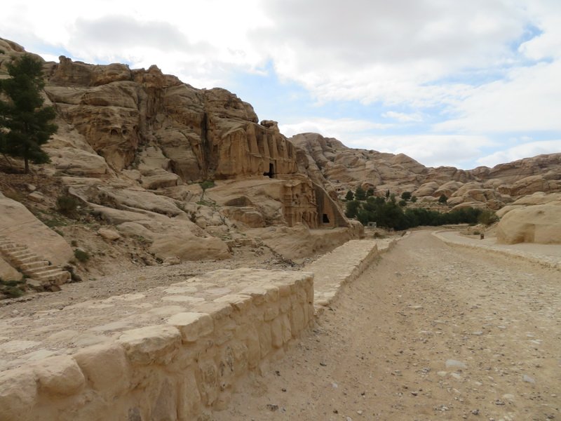 petraimg_7411.jpg