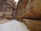 petraimg_7452_small.jpg