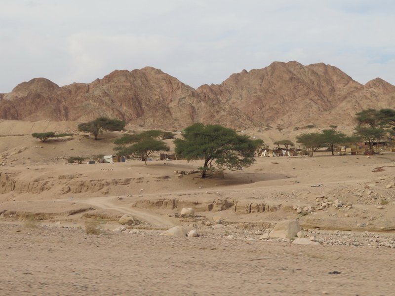 wadirumimg_6603.jpg