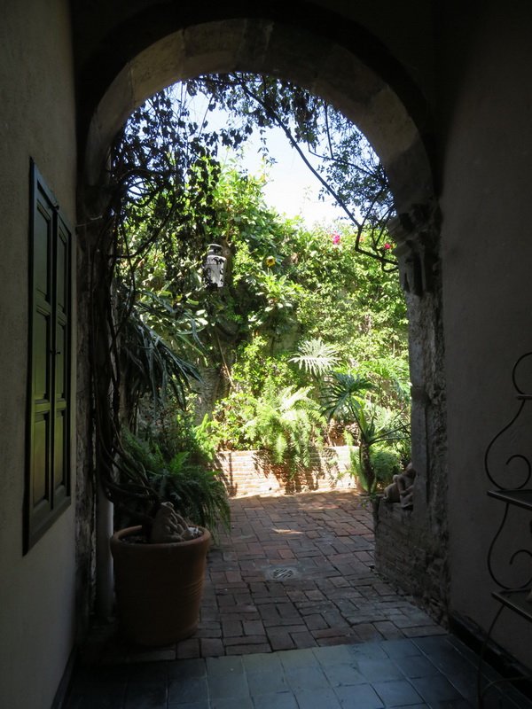 monsmdaimg_8719.jpg