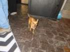 monsmdaimg_8736_small.jpg
