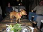 tuesmdaimg_9021_small.jpg