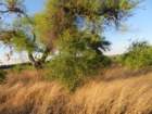 wedsmdaimg_9184_small.jpg