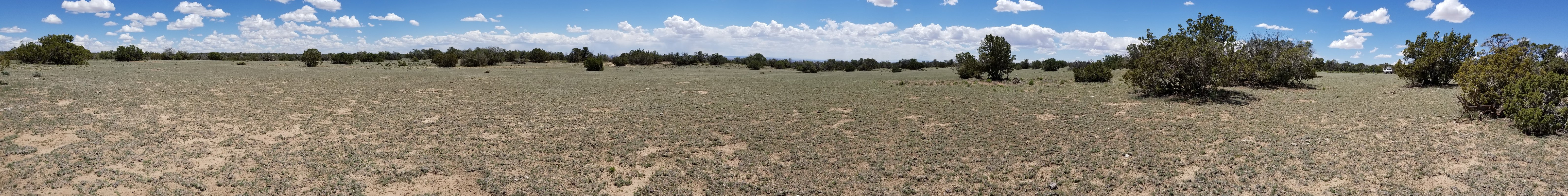 walkabout20190426_120917.jpg
