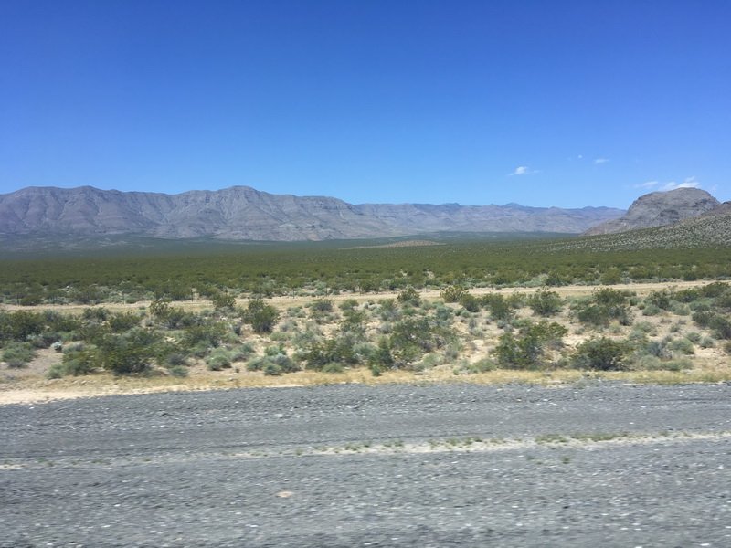 walkaboutimg_1733.jpg