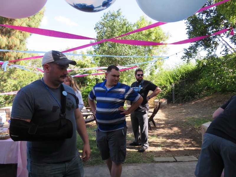 revealcbimg_0314.jpg