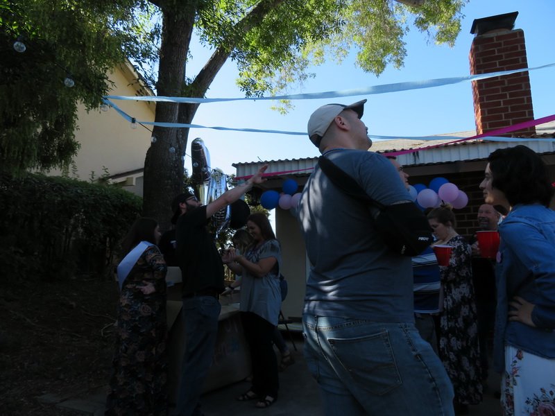 revealcbimg_0364.jpg