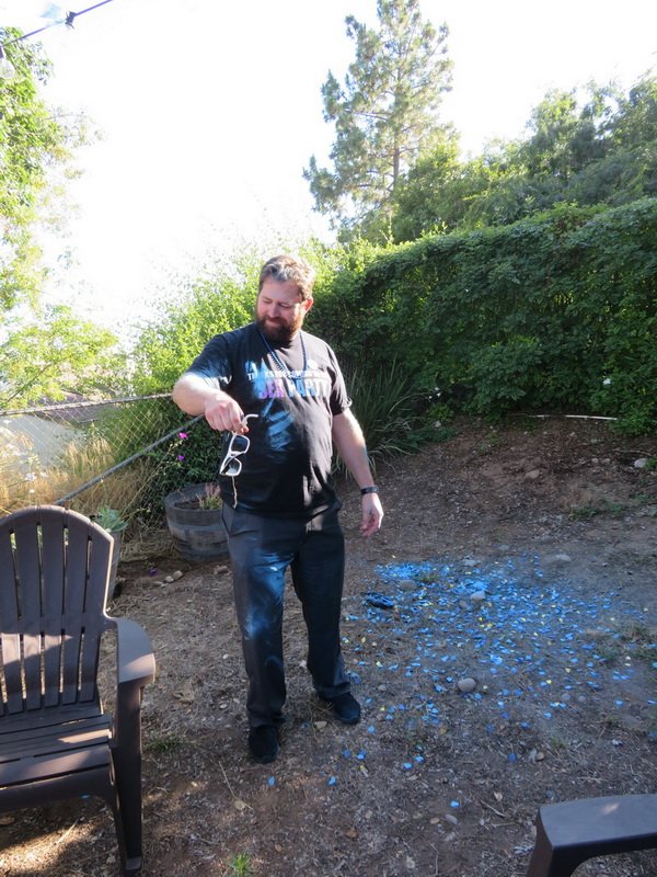 revealcbimg_0411.jpg