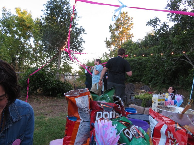 revealcbimg_0505.jpg