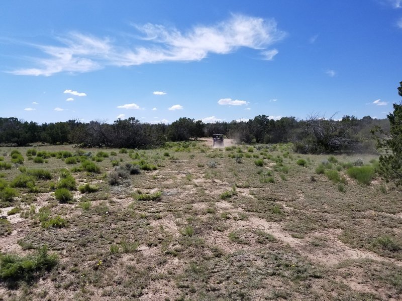 ranchrun20190607_145909.jpg