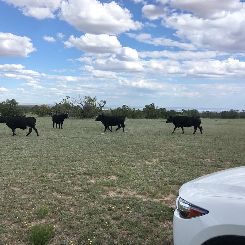 ranchrunimg_1940.jpg