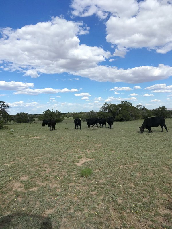 ranchrunimg_1945.jpg
