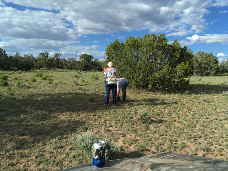 ranchrunimg_1957.jpg