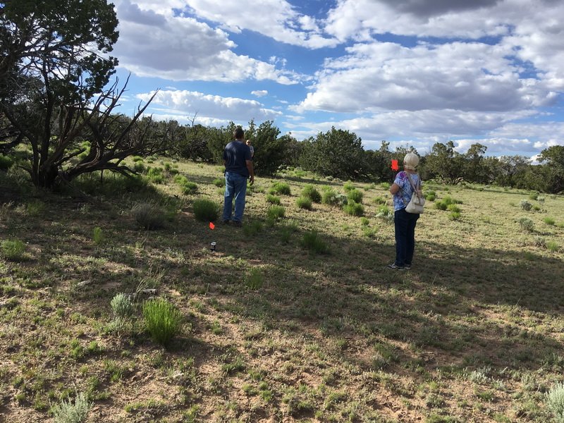 ranchrunimg_1960.jpg