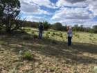 ranchrunimg_1960_small.jpg