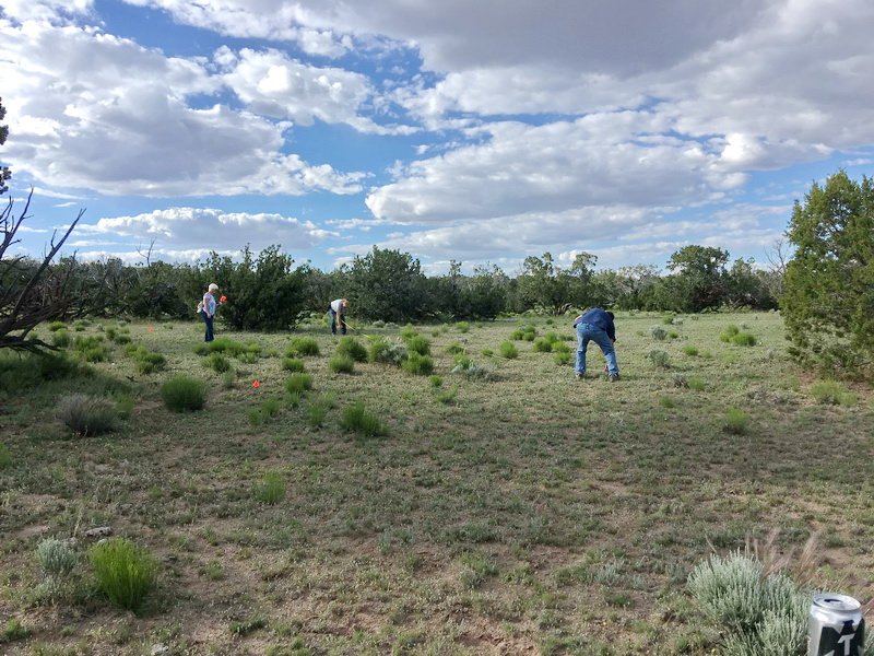 ranchrunimg_1965.jpg