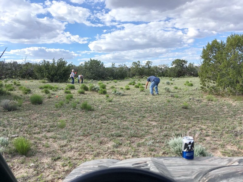 ranchrunimg_1966.jpg