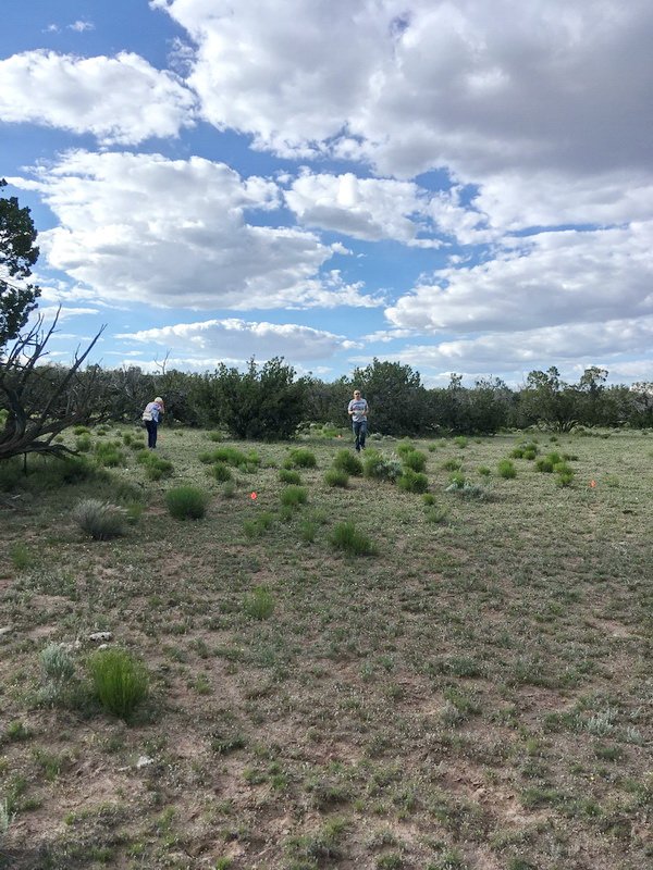 ranchrunimg_2018.jpg