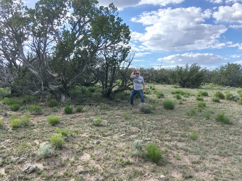 ranchrunimg_2020.jpg