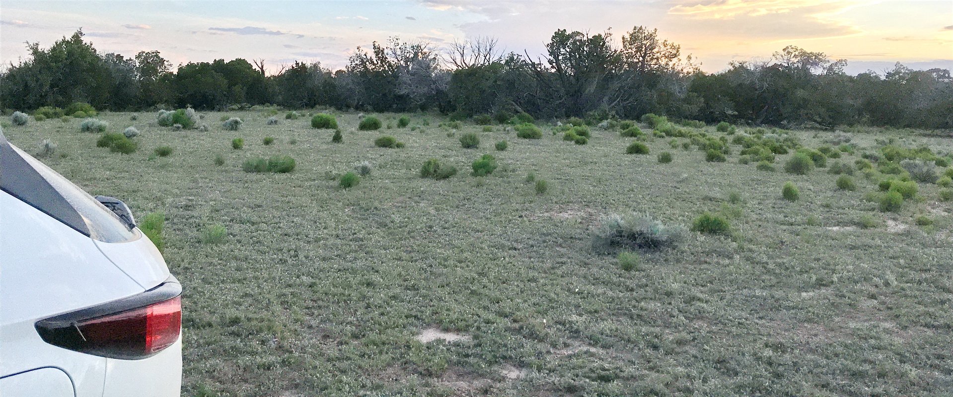 ranchrunimg_2071.jpg