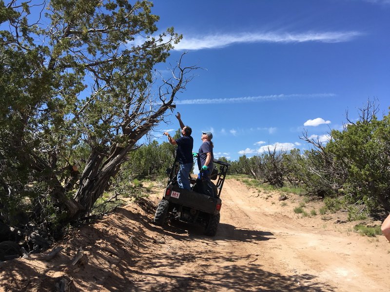 ranchrunimg_2135.jpg