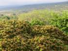 cb21img_0649_small.jpg