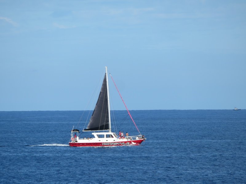 cb22img_0695.jpg