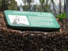 cb22img_0764_small.jpg