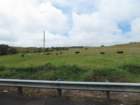cb26img_1209_small.jpg